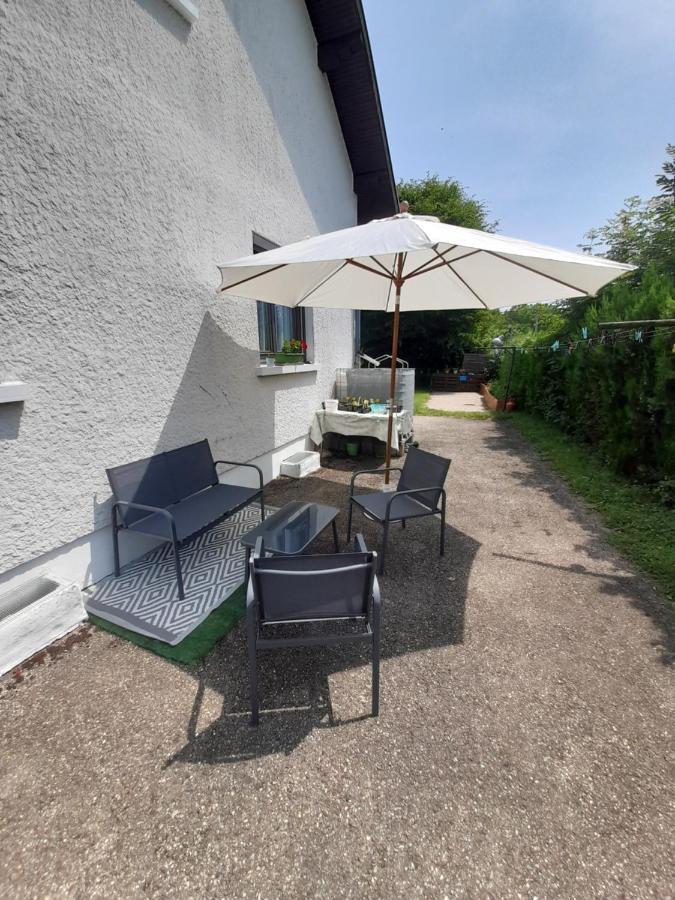 Villa Detente Dauphinoise Saint-Andre-le-Gaz Экстерьер фото